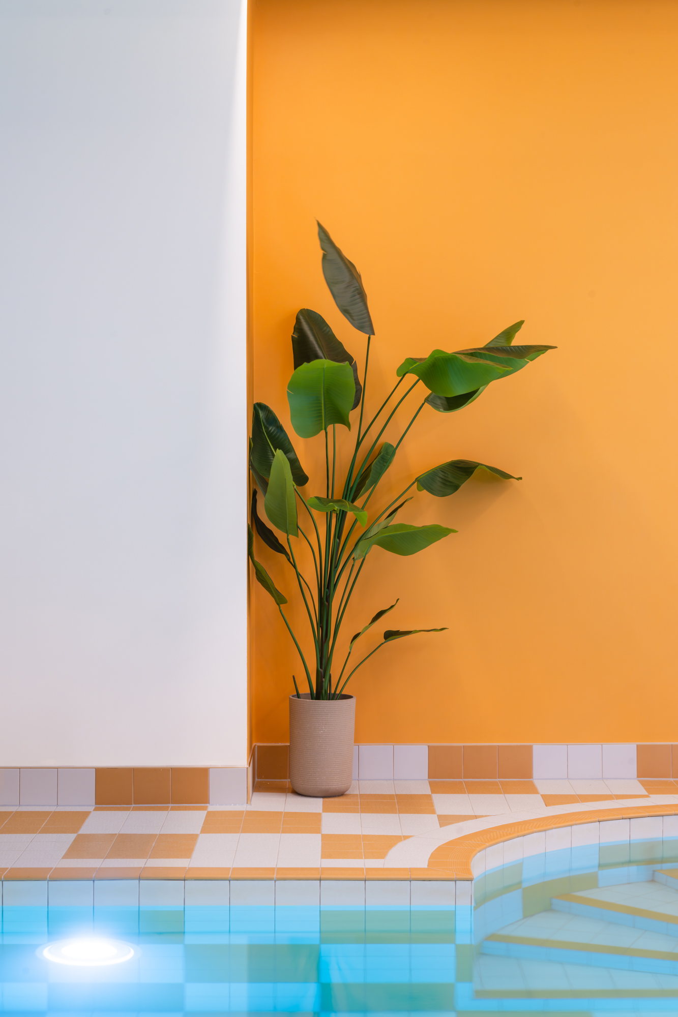 Seaspace / Watergate Bay Hotel